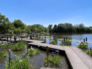 枚方市・市民の森