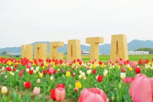 のおがたチューリップフェア