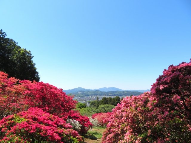 笠間市のおすすめホテル・旅館・グランピング！