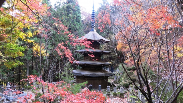上田市のおすすめホテル・旅館・ペンション 30選！｜温泉・アクティビティ・景観