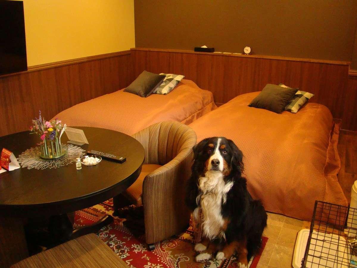 蔵王温泉 善七乃湯 Oohira Hotel 蔵王温泉 善七乃湯 Oohira Hotel