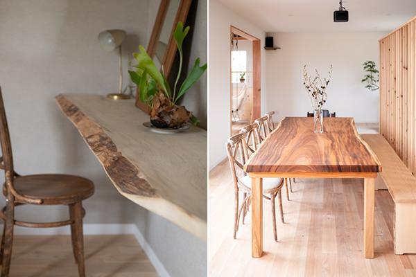 Monkey Trip Monkey Trip