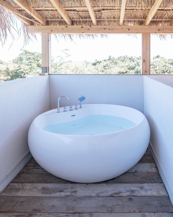 Monkey Trip Monkey Trip