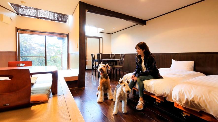 ウェルカム・イン サニーステップ ウェルカム・イン サニーステップ