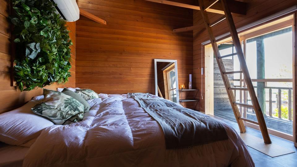 LIT SHIMANAMI LIT SHIMANAMI