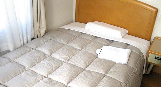 水戸リバーサイドホテル(BBHホテルグループ) 水戸リバーサイドホテル(BBHホテルグループ)