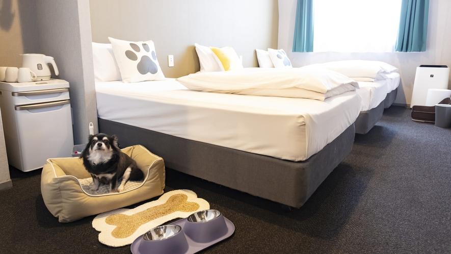 IMANO OSAKA SHINSAIBASHI HOSTEL IMANO OSAKA SHINSAIBASHI HOSTEL