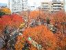 	部屋からみえる景色