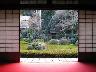 京都国際マンガミュージアム・京都御苑（御所）・新風館・二条城・錦市場いずれも徒歩圏内です。