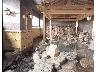 ほてった肌に風が心地よい露天風呂