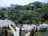 広大な敷地の日本庭園