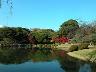 【新宿御苑】当館より徒歩２分。